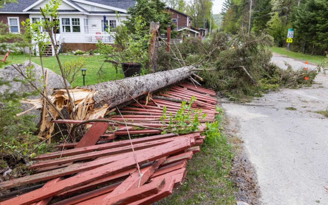 What to Know About Removing a Shed or Garage Before Building
