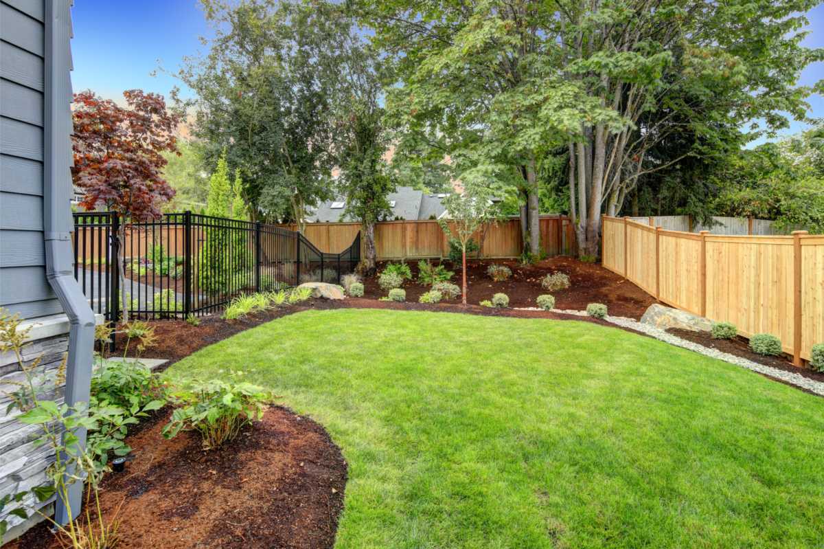 Green backyard lawn with mature trees and a fence, the kind of setting where DADU tree protection matters